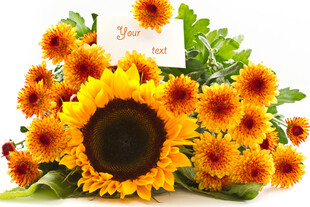 一束鲜艳的向日葵花束