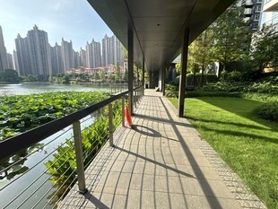 湖畔木质步道的惬意风光