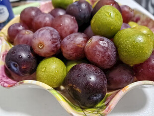 多彩葡萄盛于精美果盘