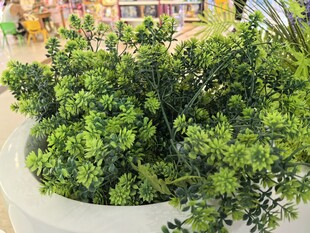 仿真盆栽绿植清新绿意满满