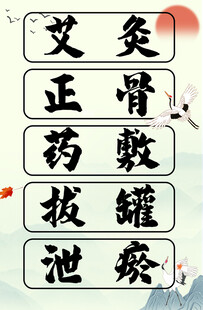 传统中医理疗项目展示