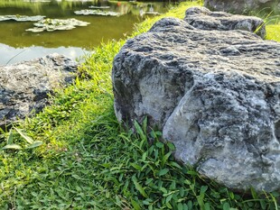 湖畔巨石与翠绿草地