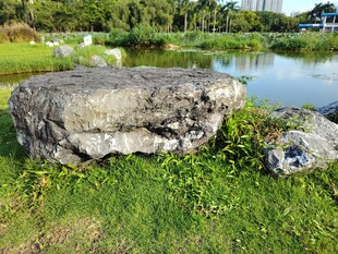 湖畔巨石与翠绿草地景观