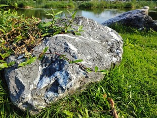 草地上的灰色岩石