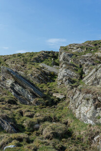 山坡上的岩石与植被