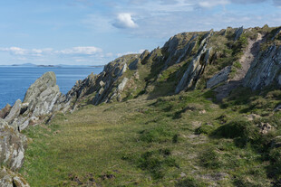 海边嶙峋山石与葱郁草地