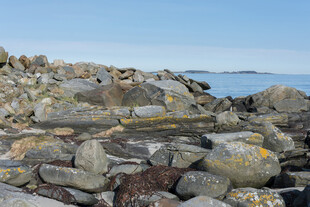 海边嶙峋岩石景观