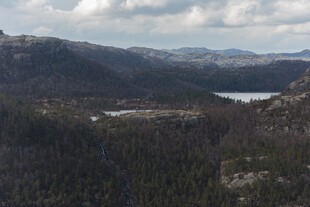 山间湖泊与茂密森林景观