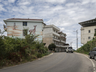 乡村公路旁的建筑