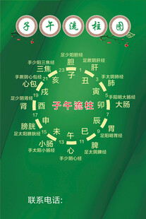 子午流柱图 中医资料 绿色环保
