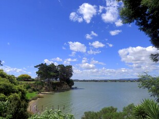 奥克兰海边风景