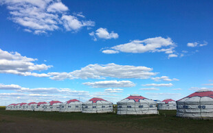 呼伦贝尔大草原