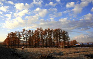 内蒙古呼伦贝尔
