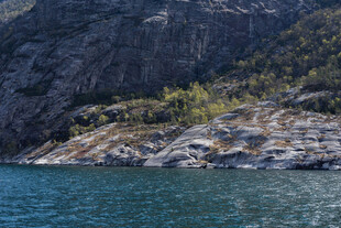 山水相依的静谧湖岸风光