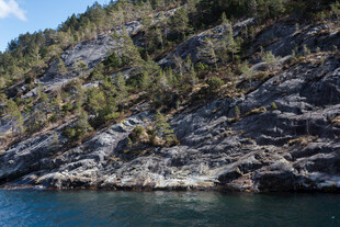 海边嶙峋峭壁与葱郁植被