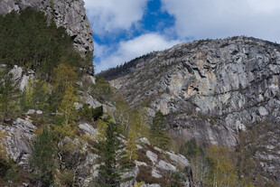 壮丽山景 岩石与绿树相映