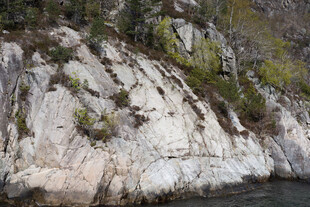 河边嶙峋岩石与绿植