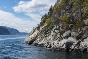 海岸边的嶙峋岩石与绿植