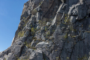 陡峭嶙峋的岩石峭壁