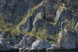 嶙峋岩石与崖壁上的绿意