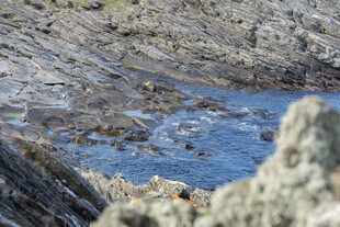 海边嶙峋岩石与蓝色水潭