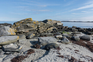 海岸边的嶙峋岩石景观