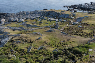 海岸边的岩石与繁茂植被