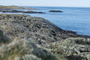 海岸边的嶙峋岩石与大海