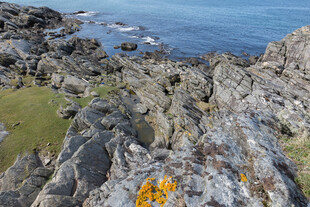 海岸边嶙峋岩石景观