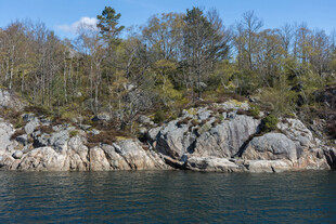 湖畔嶙峋岩石与葱郁林木