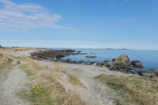 海边小径与辽阔蓝色海面