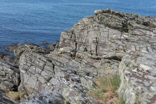 海边嶙峋岩石景观