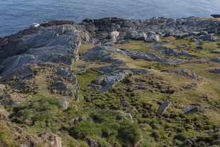 海岸边的岩石与植被景观