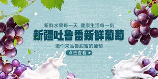 新疆吐鲁番新鲜葡萄