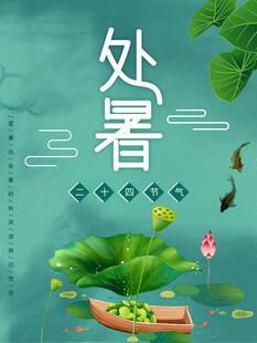 处暑时节荷塘美景