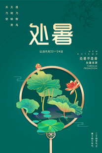 处暑时节荷塘美景