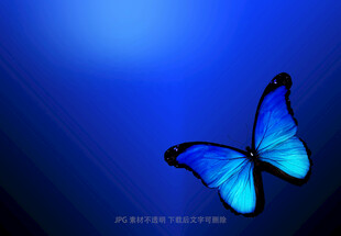 蓝色梦幻蝴蝶背景图