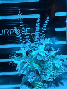 梦幻绿植与科技感背景