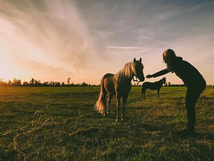 夕阳下人与马的温馨互动