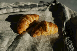 猫咪与美味牛角面包