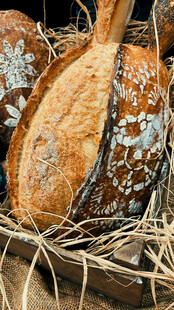 发霉面包置于干草上