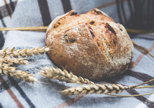 新鲜面包与麦穗的温馨画面