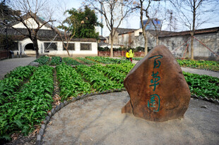 百草园