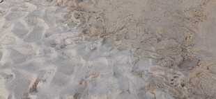 沙滩上的细腻沙粒与海浪痕迹