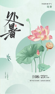 处暑时节荷花绽放海报