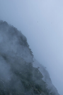 云雾缭绕的山峰美景