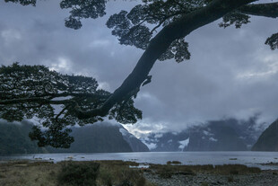 云雾缭绕中的壮美山水景