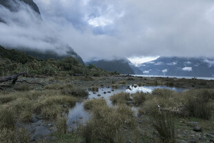 山间湿地景观