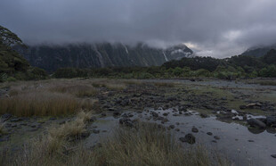山间湿地 云雾缭绕之景