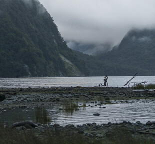 山间湖畔的静谧风光